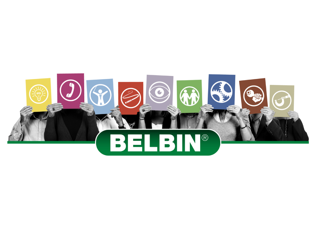 Belbin Team Roles